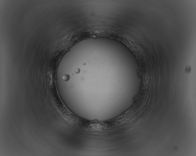 X0000089660703200707191649