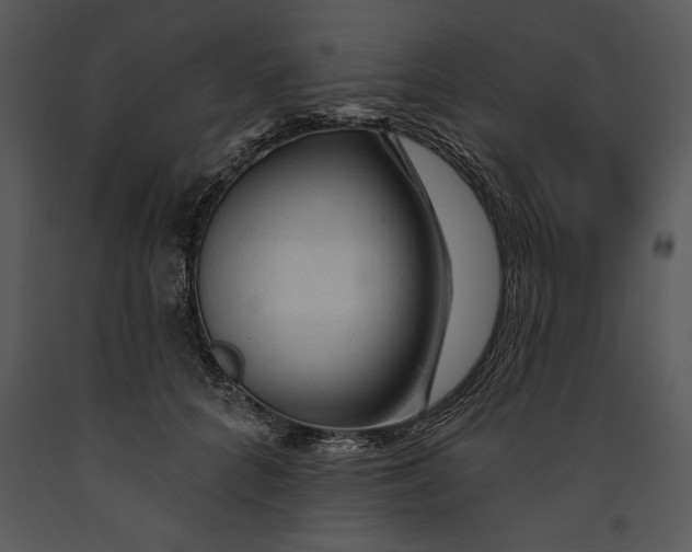 X0000089660704200707191649