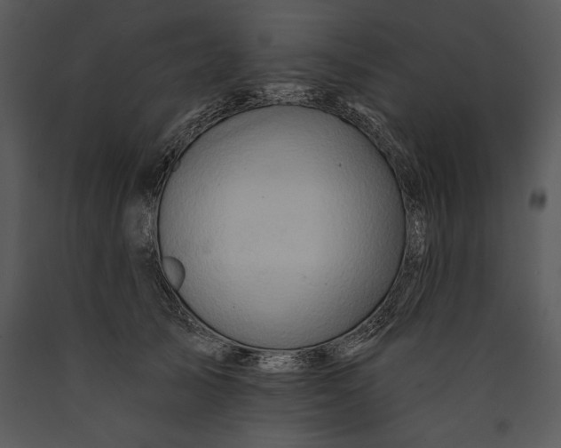 X0000089660705200707191649