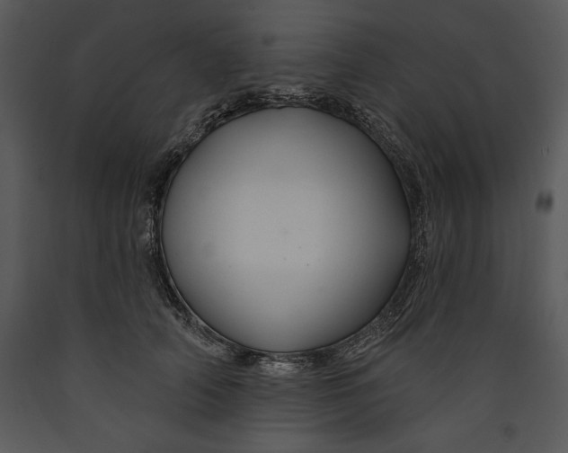 X0000089660706200707191648