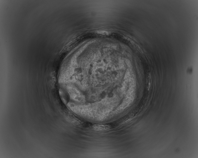 X0000089660707200707191648