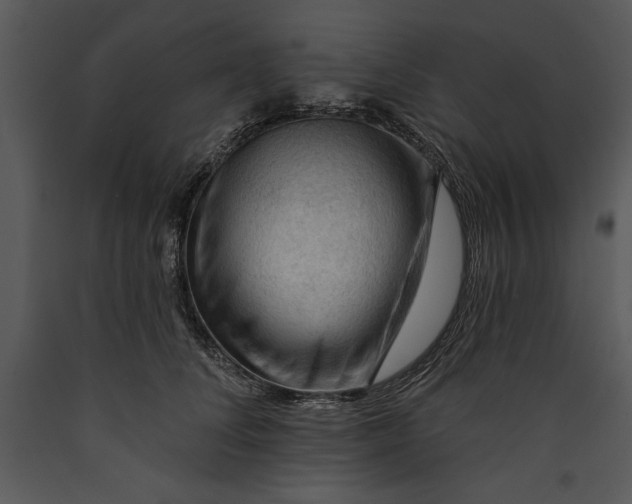 X0000089660708200707191648