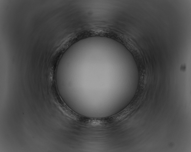 X0000089660710200707191648
