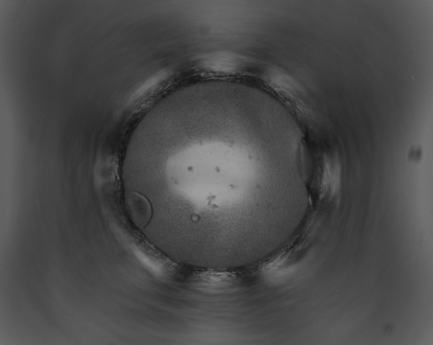 X0000089660711200707191648