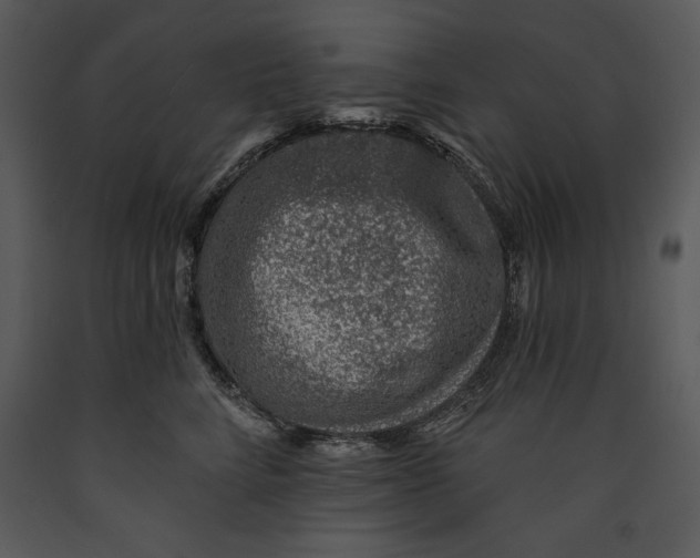X0000089660712200707191648