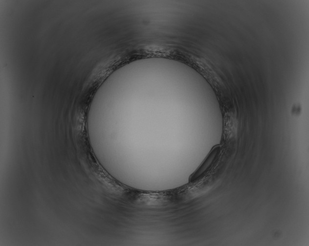 X0000089660713200707191648