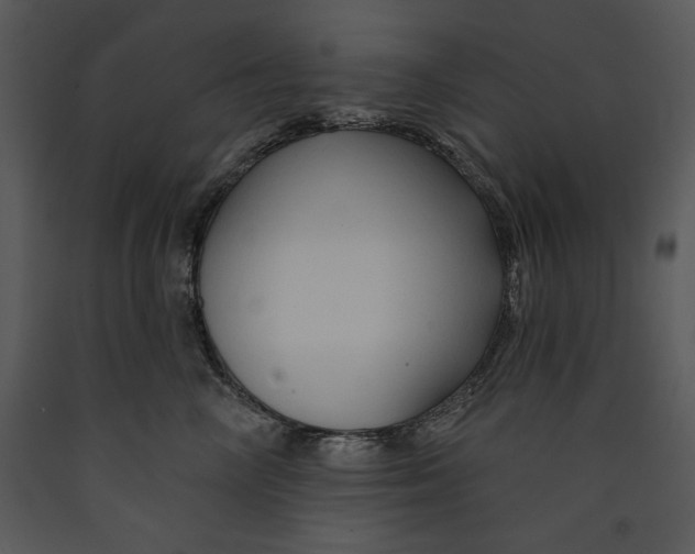 X0000089660714200707191648
