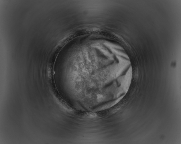 X0000089660715200707191648