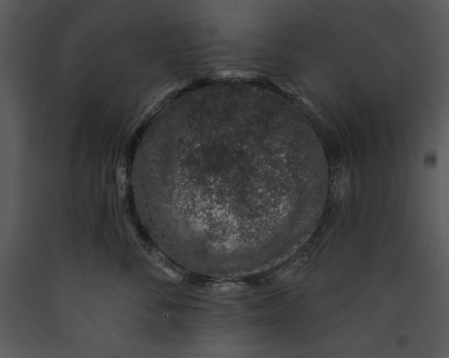 X0000089660716200707191648