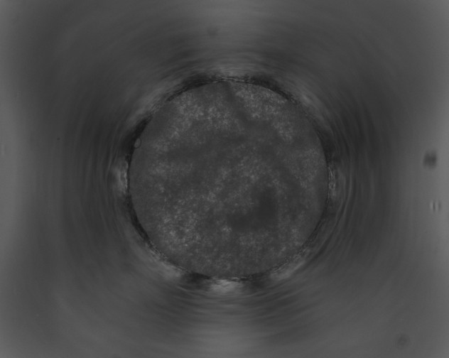X0000089660718200707191648