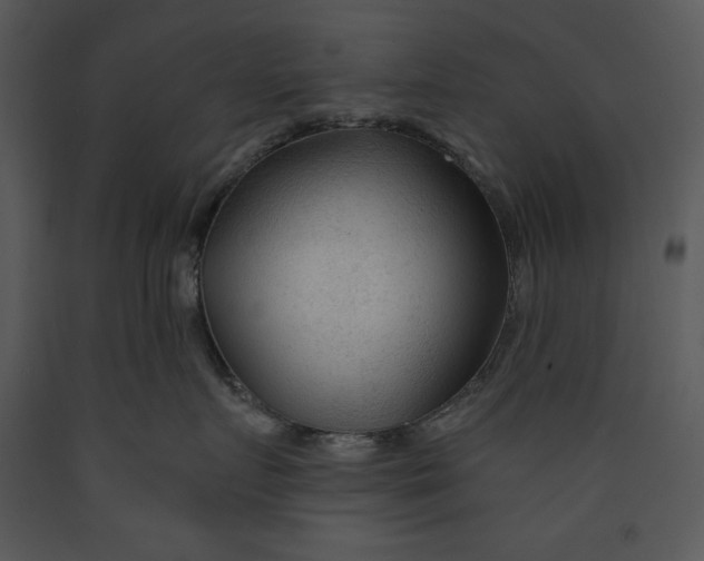 X0000089660719200707191648
