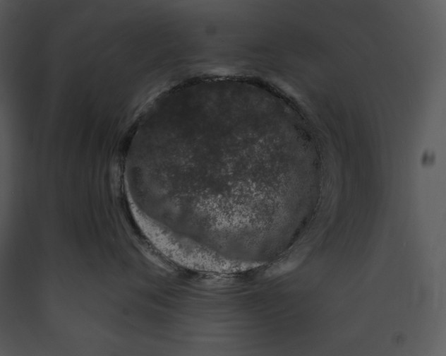 X0000089660720200707191648