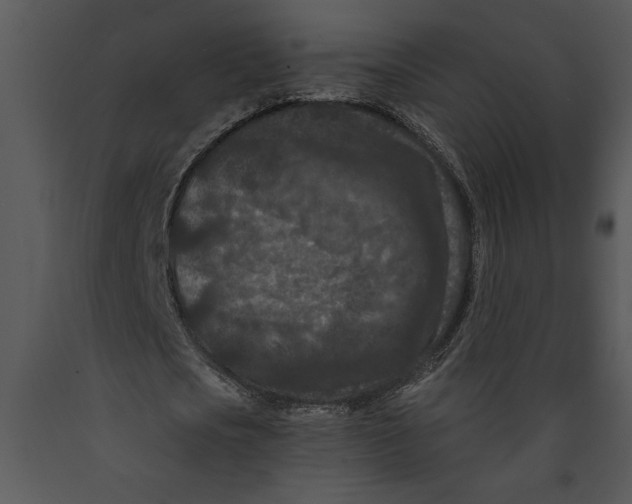 X0000089660721200707191647