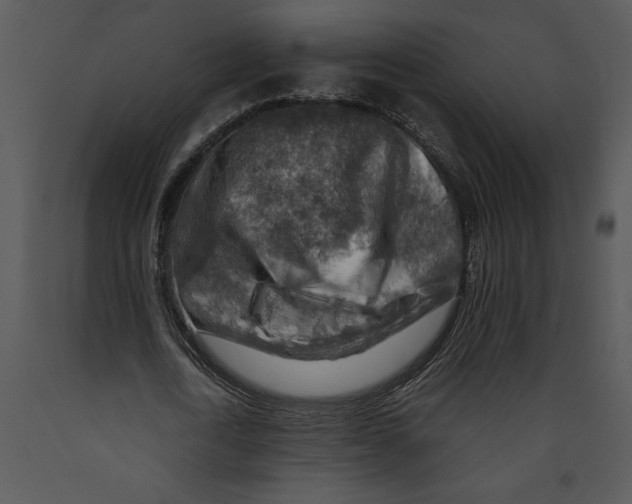 X0000089660722200707191647