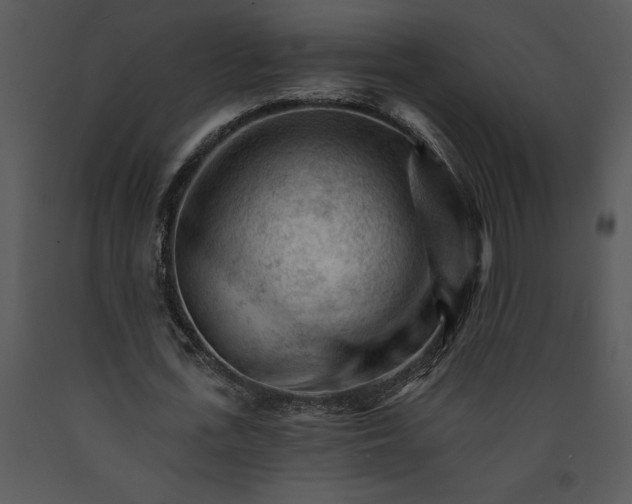 X0000089660723200707191647