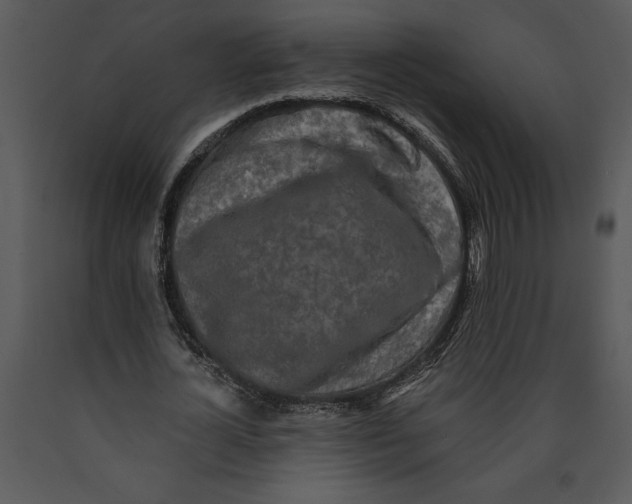 X0000089660724200707191648