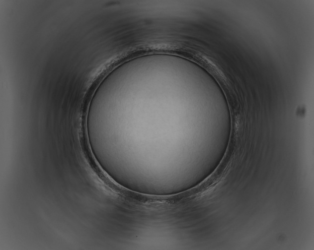 X0000089660725200707191648