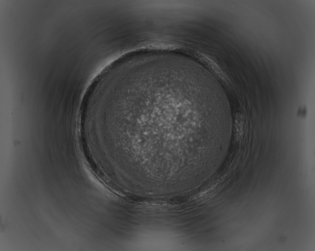 X0000089660726200707191648