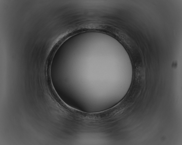 X0000089660727200707191648