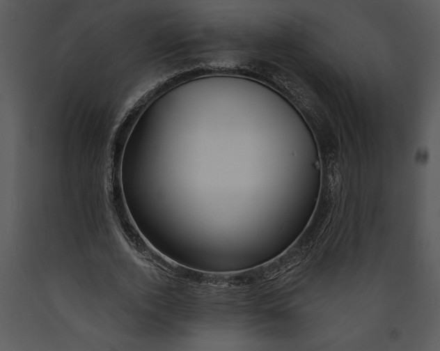 X0000089660728200707191648