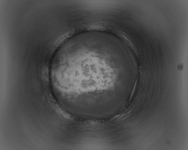 X0000089660729200707191648