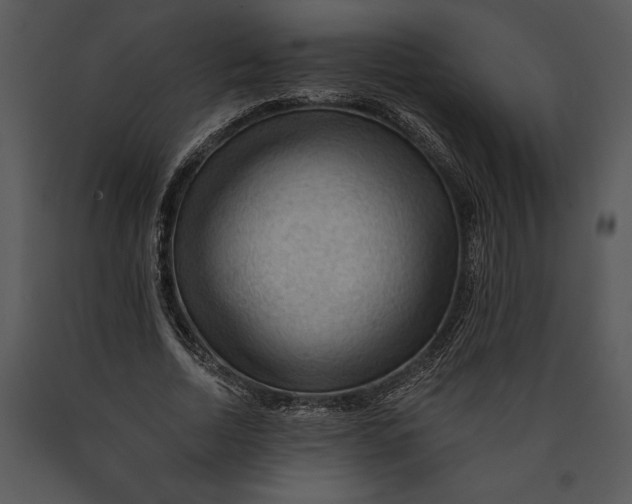 X0000089660730200707191648