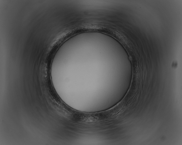 X0000089660731200707191648