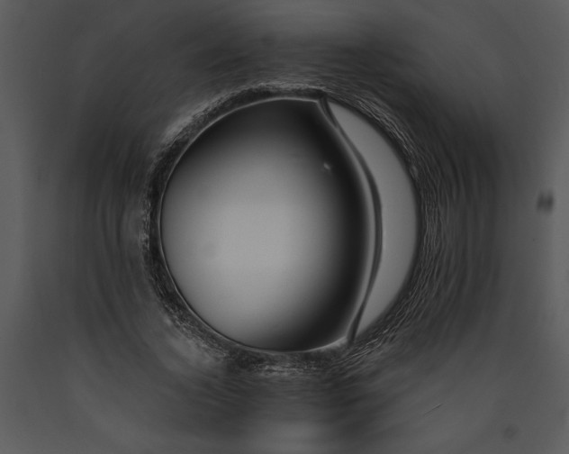 X0000089660732200707191648