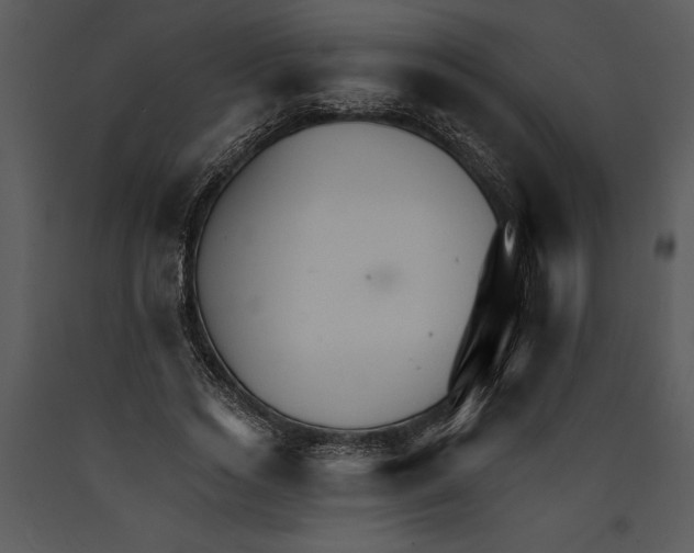 X0000089660733200707191648