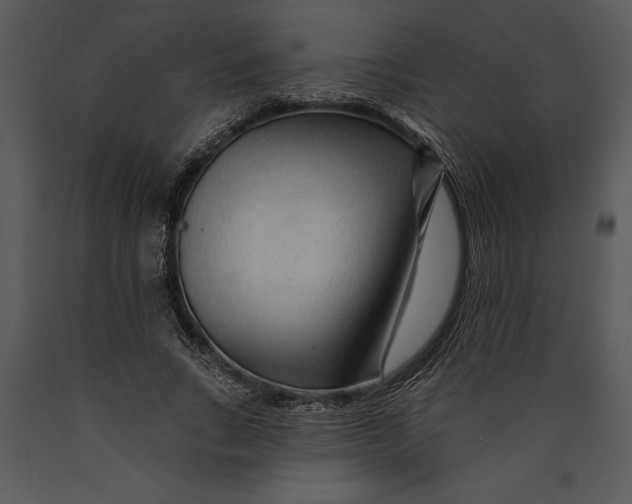 X0000089660735200707191648