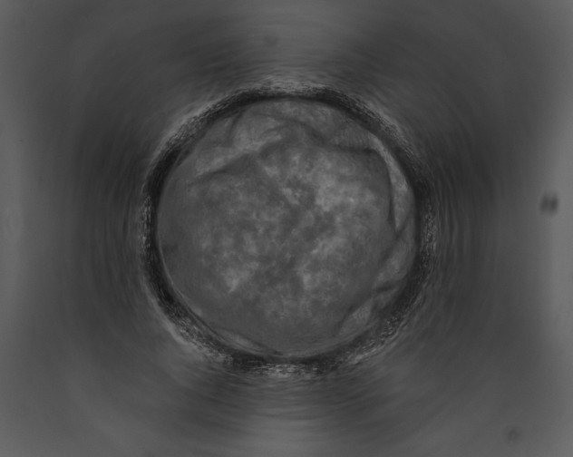 X0000089660736200707191648