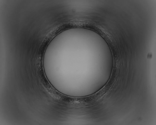 X0000089660737200707191648