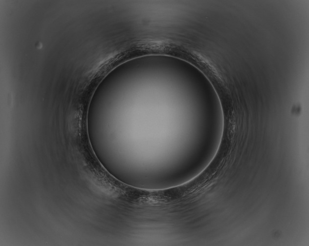 X0000089660739200707191648