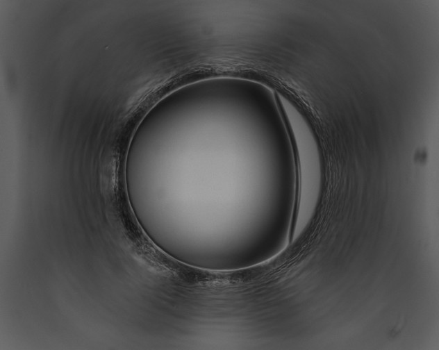 X0000089660740200707191648