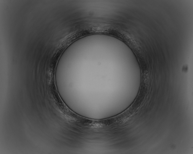 X0000089660741200707191648