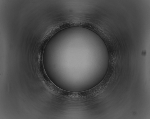 X0000089660742200707191648