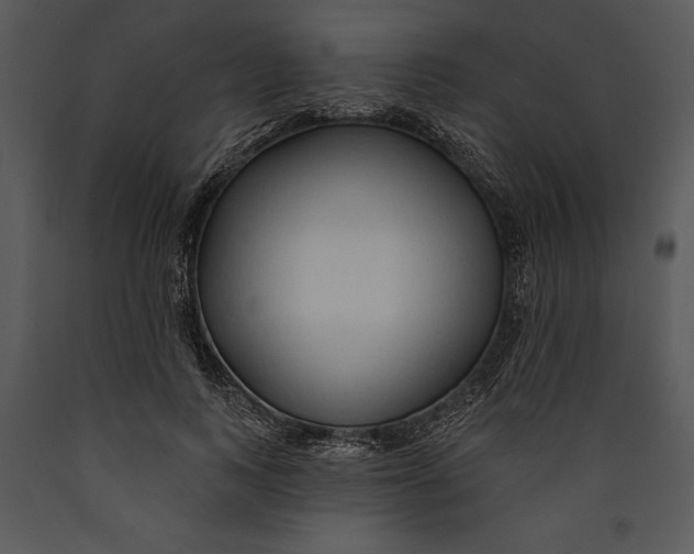 X0000089660743200707191648