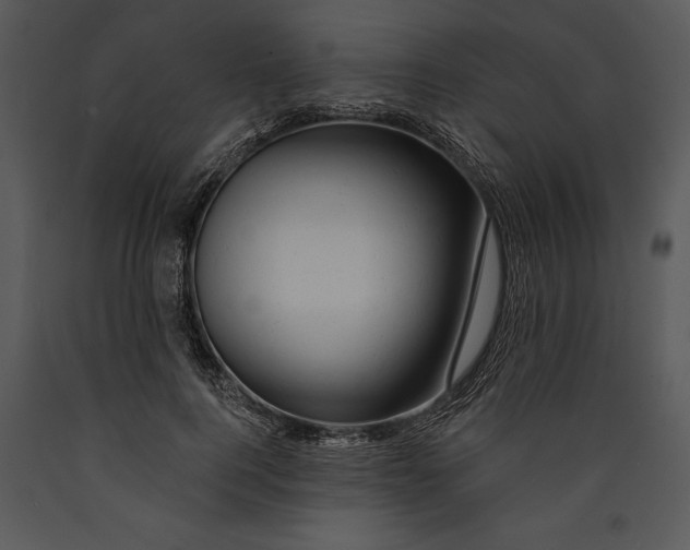 X0000089660744200707191648