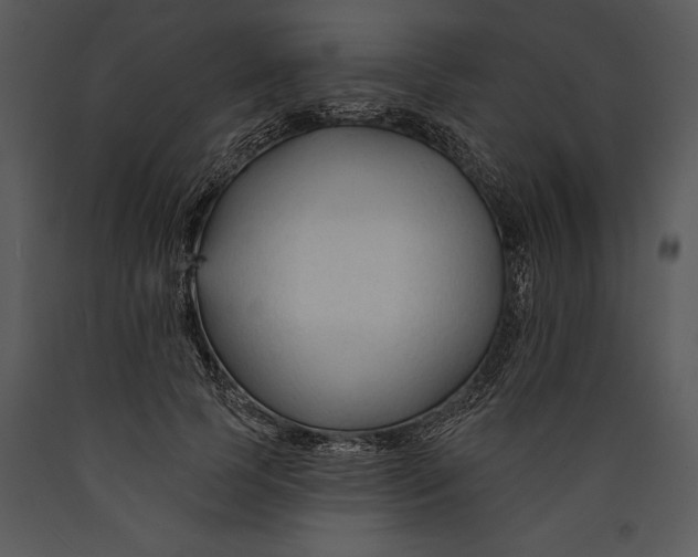 X0000089660745200707191648
