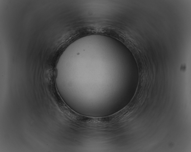 X0000089660747200707191648