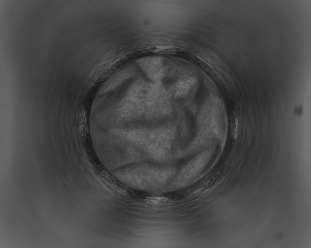 X0000089660748200707191648
