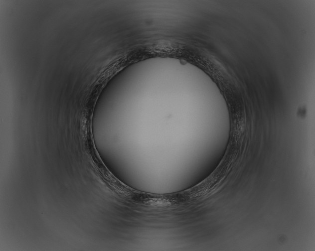 X0000089660749200707191648