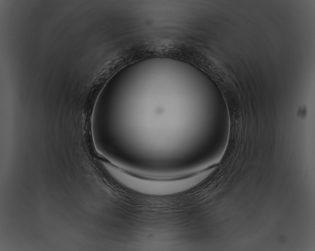 X0000089660750200707191648