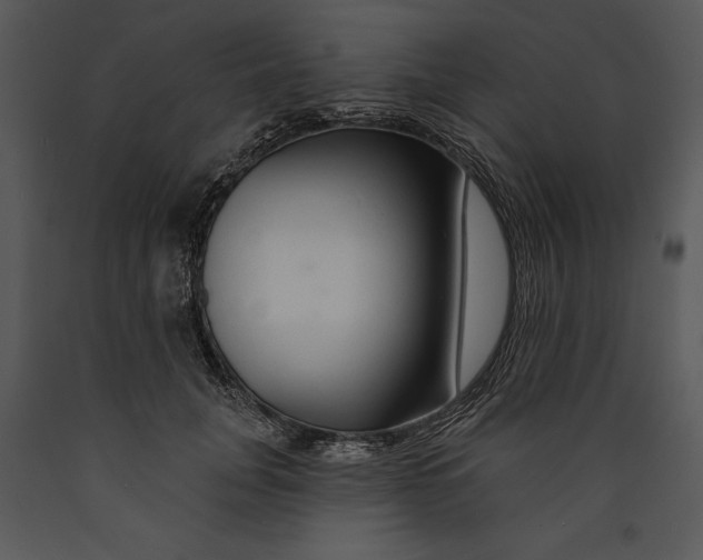 X0000089660751200707191648