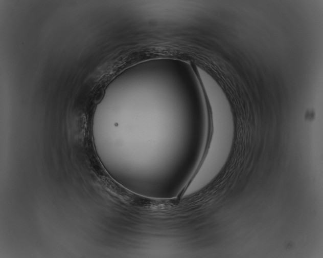 X0000089660752200707191648