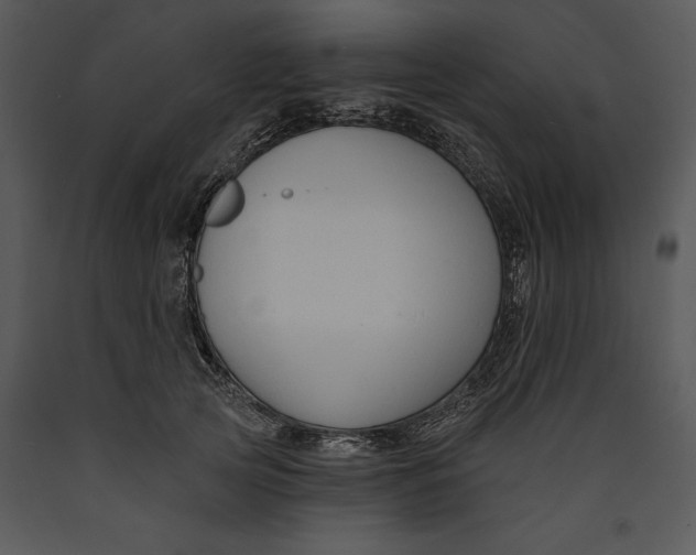 X0000089660753200707191648