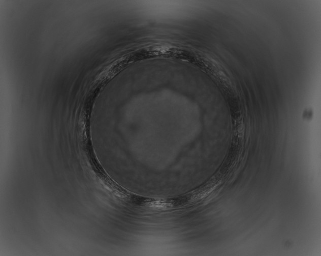 X0000089660754200707191648