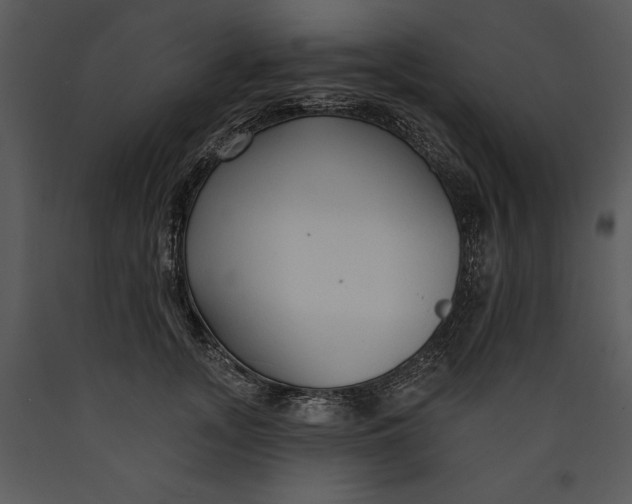 X0000089660755200707191648