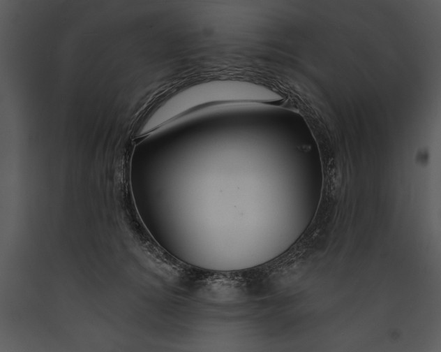 X0000089660756200707191648
