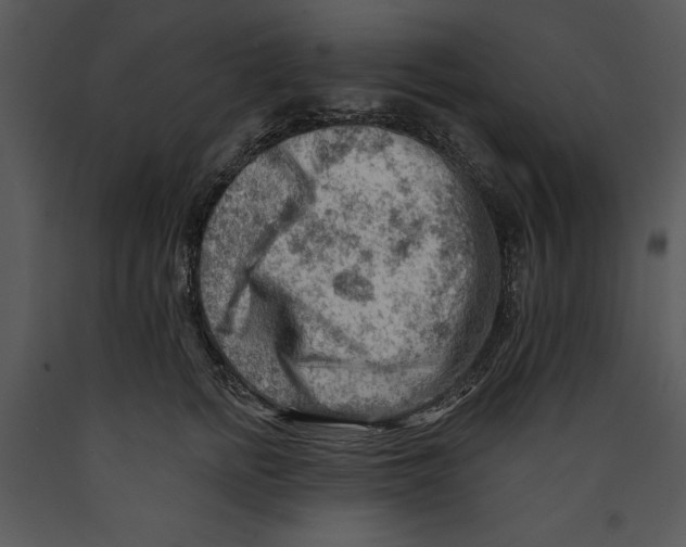 X0000089660758200707191648